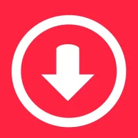 Video Downloader : Story Saver